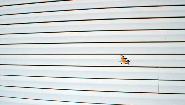 Best Engineered Wood Siding  in Yorba Linda, CA