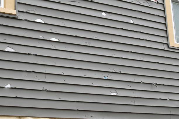 Best Siding Painting and Refinishing  in Yorba Linda, CA