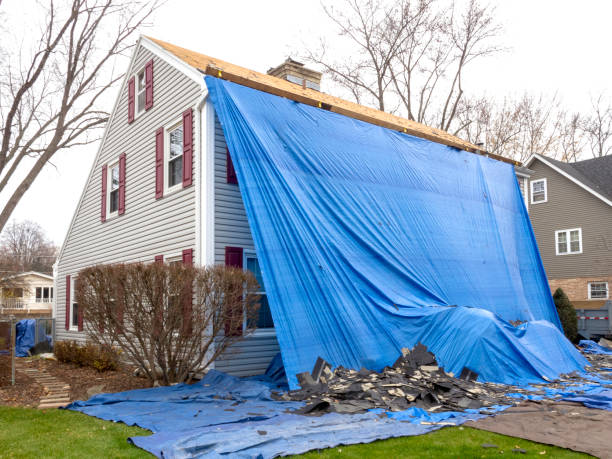 Best Insulated Siding Installation  in Yorba Linda, CA